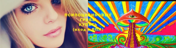MDMA Premium VHQ Богородицк