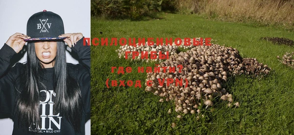 прущая мука Сатка