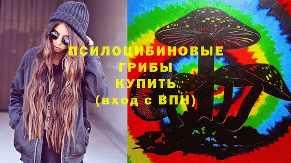 прущие крисы Богданович