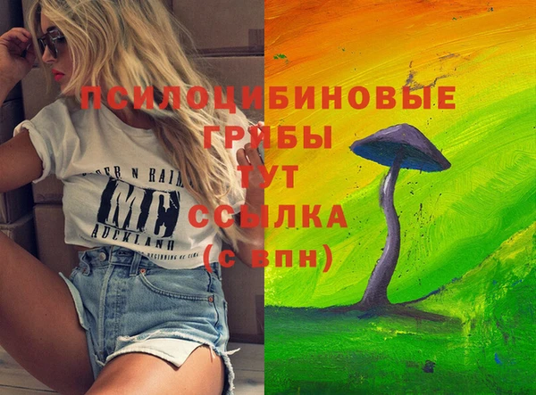 MDMA Premium VHQ Богородицк
