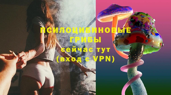MDMA Premium VHQ Богородицк