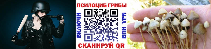 хочу Очёр Псилоцибиновые грибы мицелий